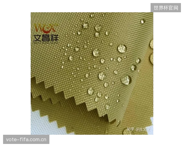 下一代纳米涂层将具备仿生特性，能根据划水速度和水压动态改变表面微观结构，实现主动式流体剪切优化